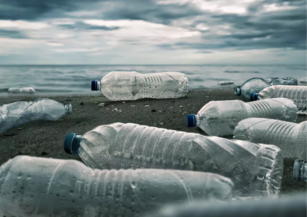 Why Stop Using Plastic Water Bottles